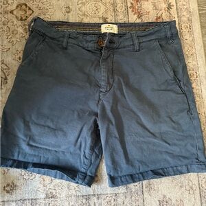 Marine Layer Navy Chino Shorts